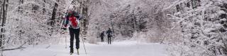 Gatineau Park, Winter, Cross-country skiing	