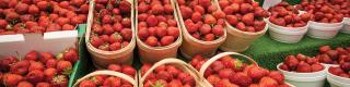 Byward Market, strawberries	