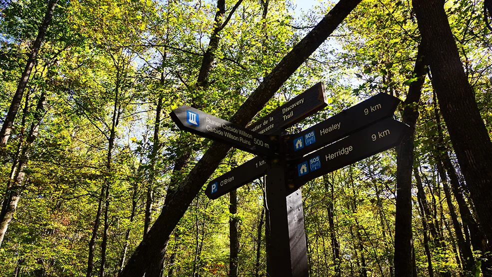 Gatineau Park