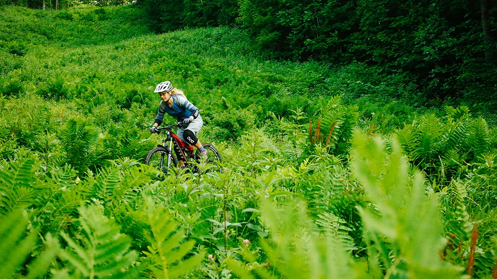 Camp Fortune Mountain bike trail