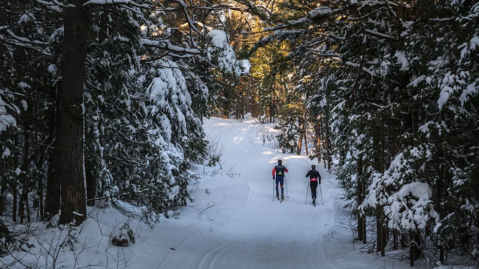 Gatineau Park, Winter, Cross-country skiing
