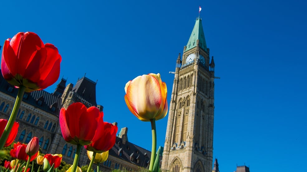 Canadian Tulip Festival Ottawa Tourism