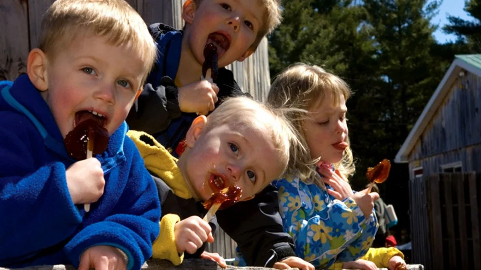 Children enjoying maple taffy at Fultons Pancake House and Sugar Bush