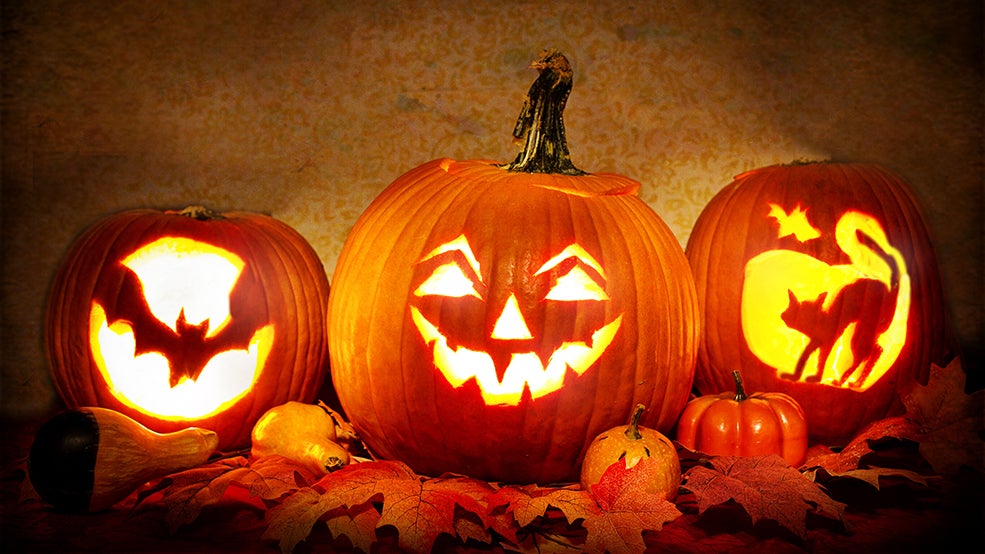 fall, pumpkins, Halloween