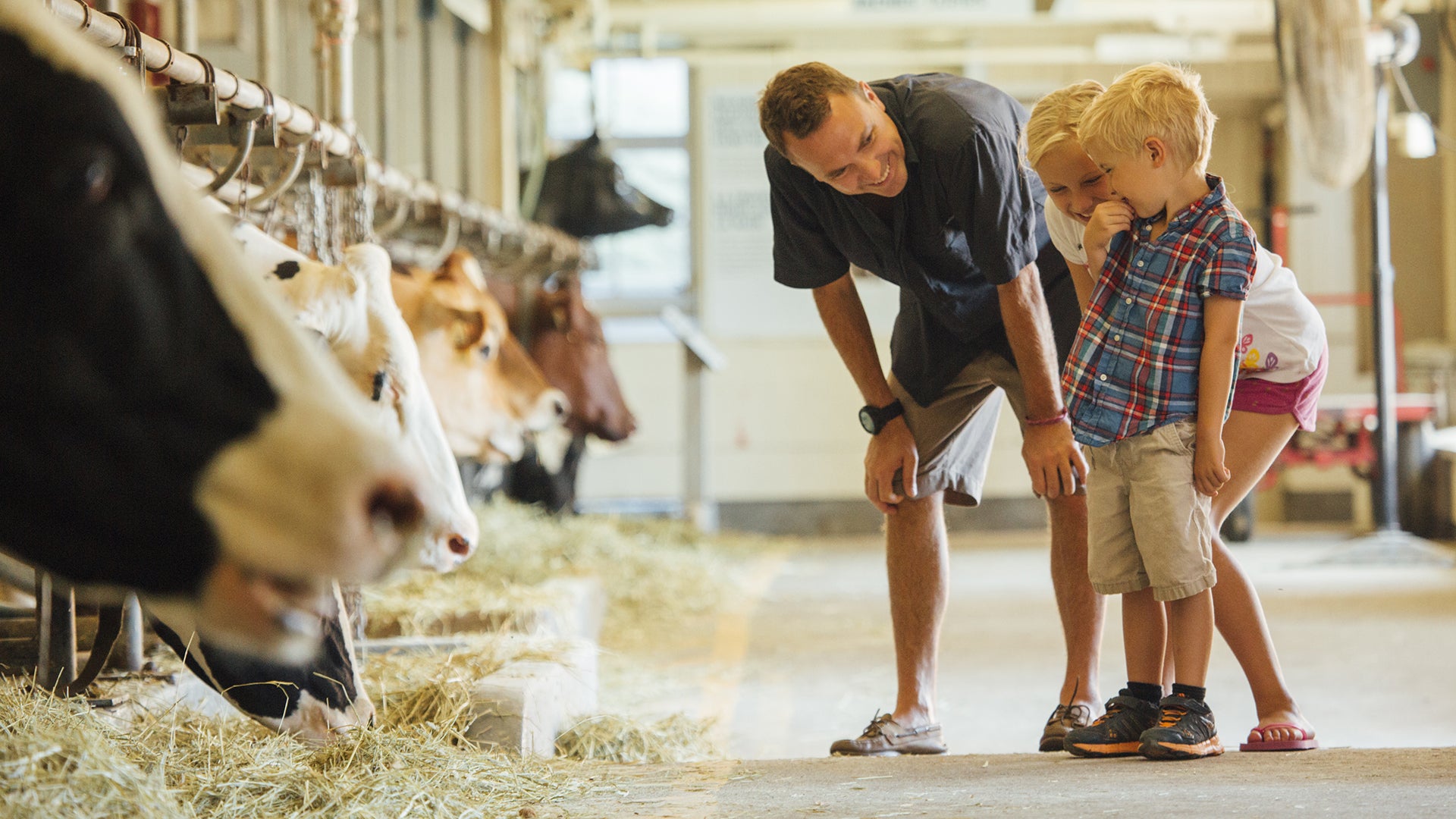 Canada Agriculture and Food Museum
