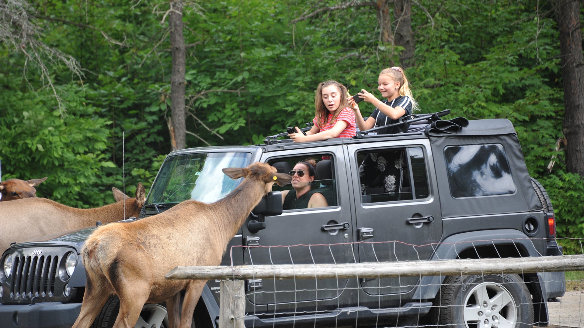 Omega Park