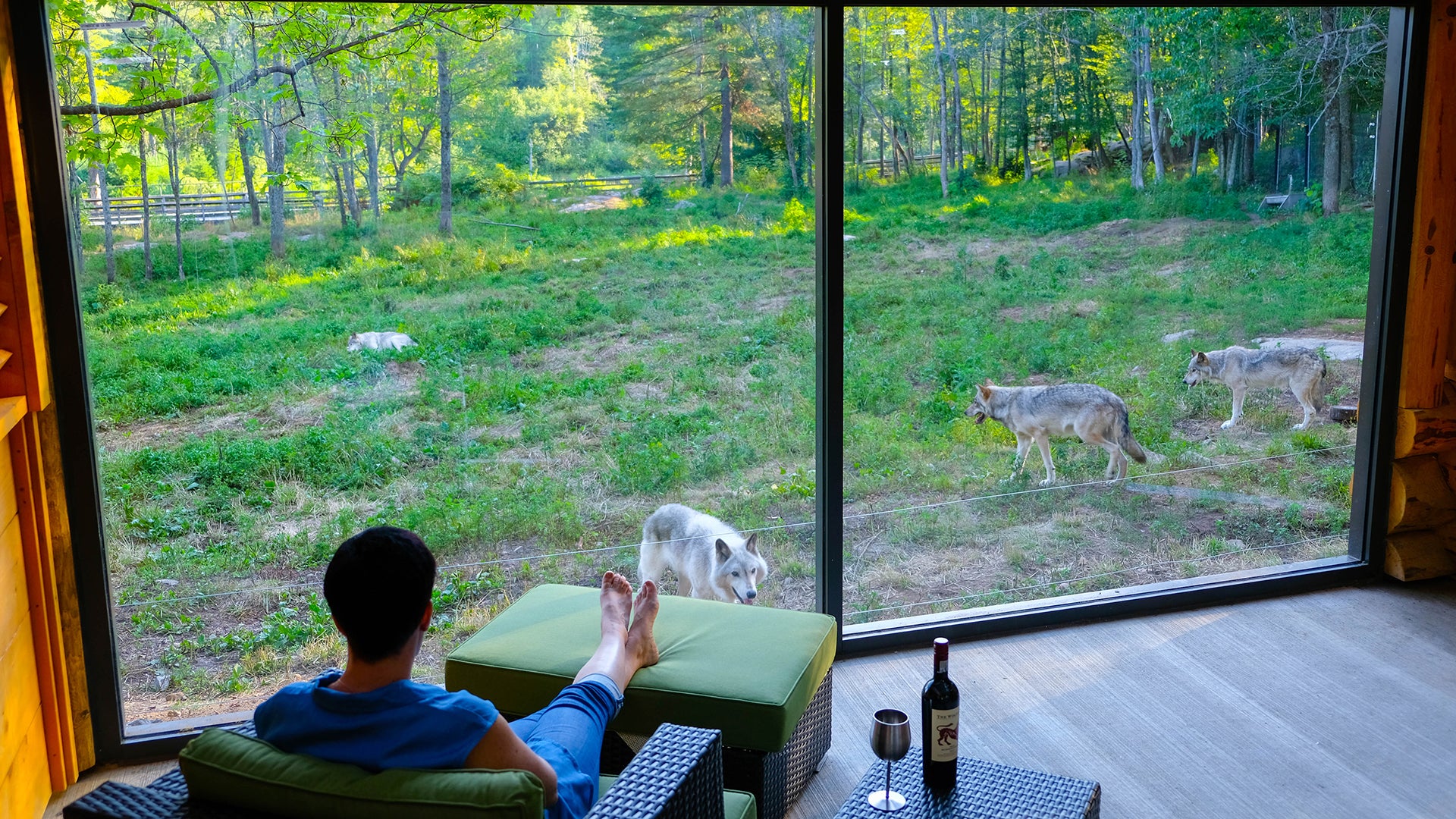 Omega Park