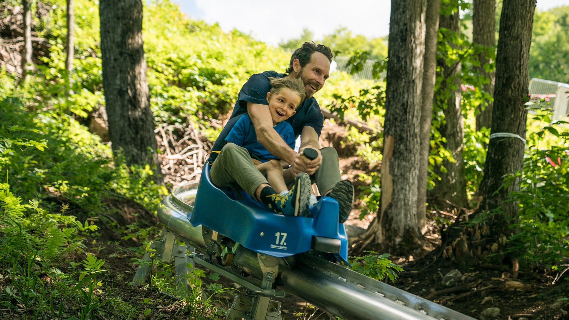 Camp Fortune - Mountain Pipe Coaster