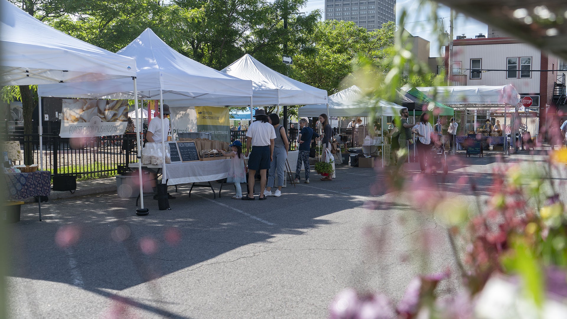 Parkdale Night Market