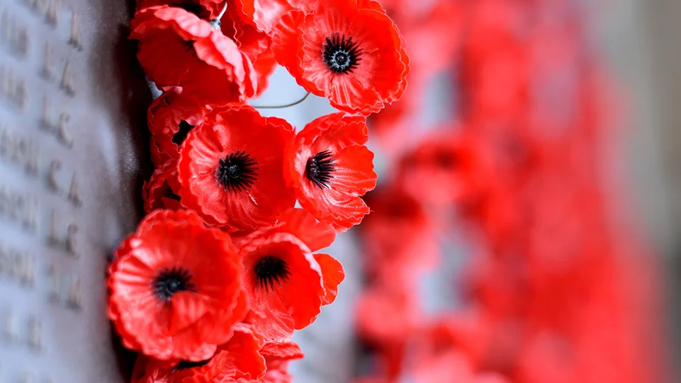 National Remembrance Day Ceremony Ottawa Tourism