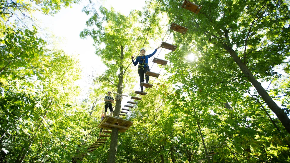 Treetop Trekking 1000 Islands