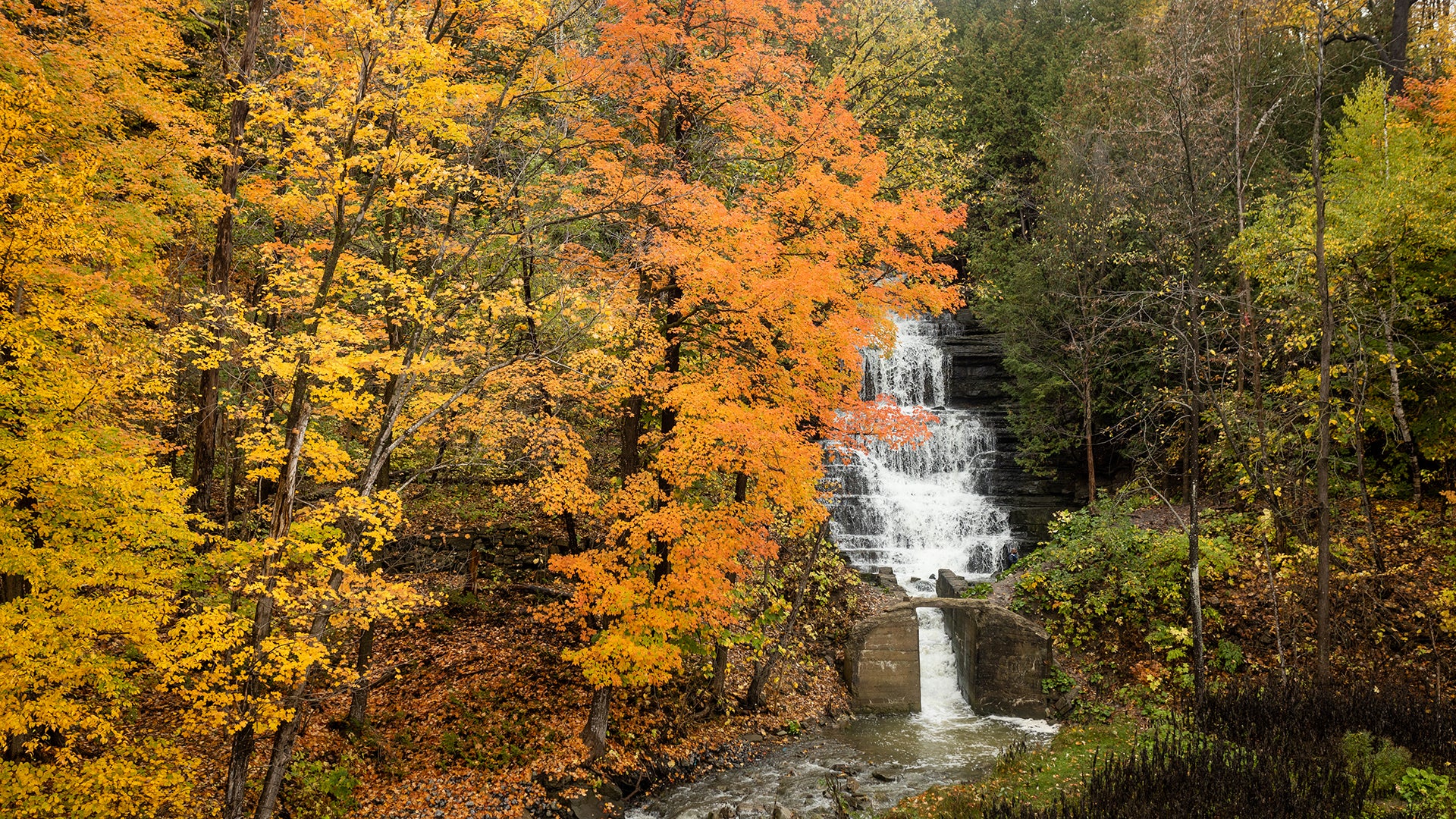 Princess Louise Falls