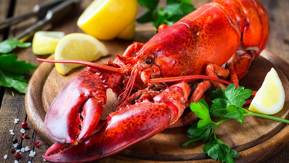 lobster lobster