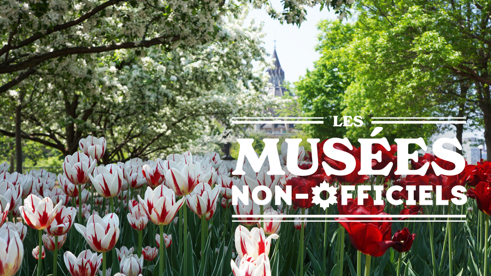 Unofficial Museums: Tulip Unofficial Museums: Tulip