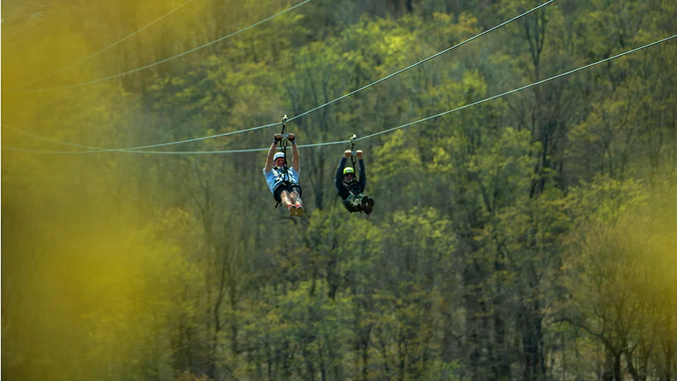 Peak to Peak Camp Fortune Zipline