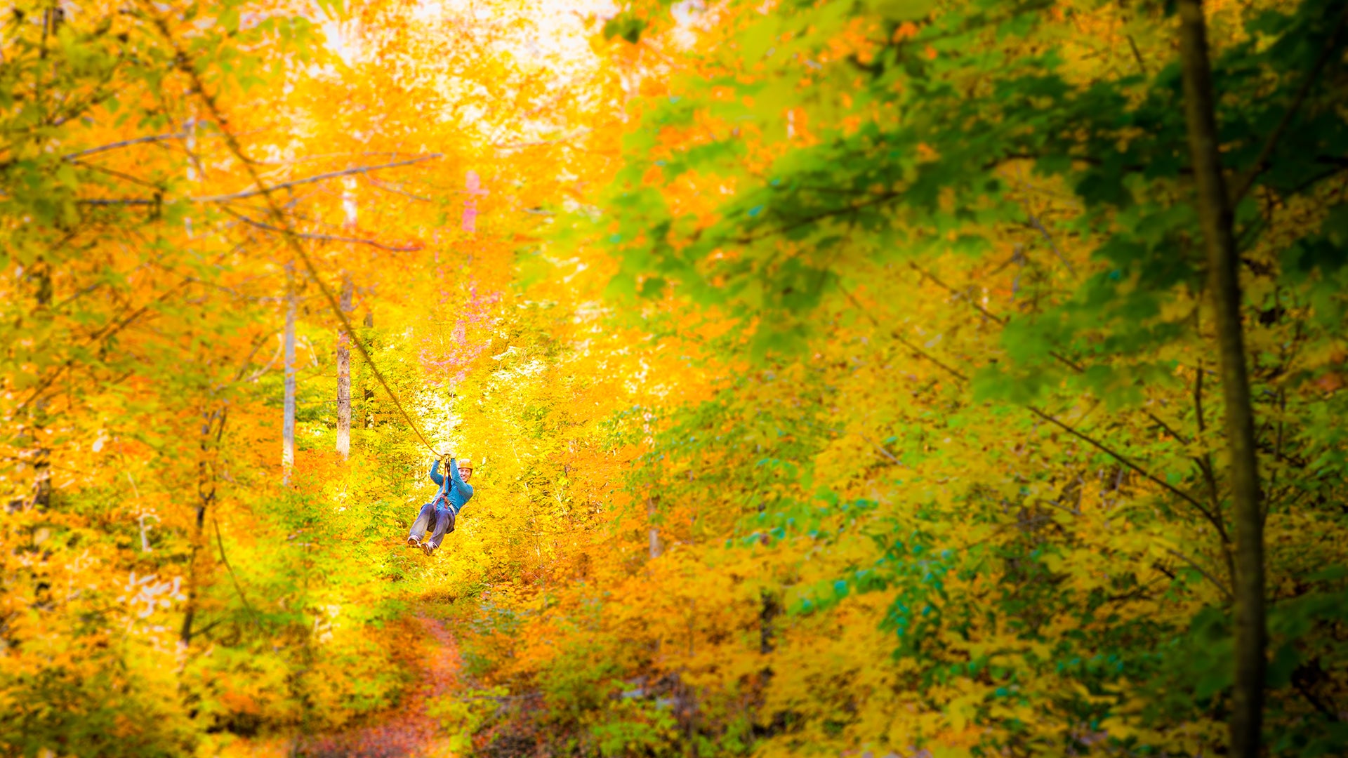 Camp Fortune Aerial Park