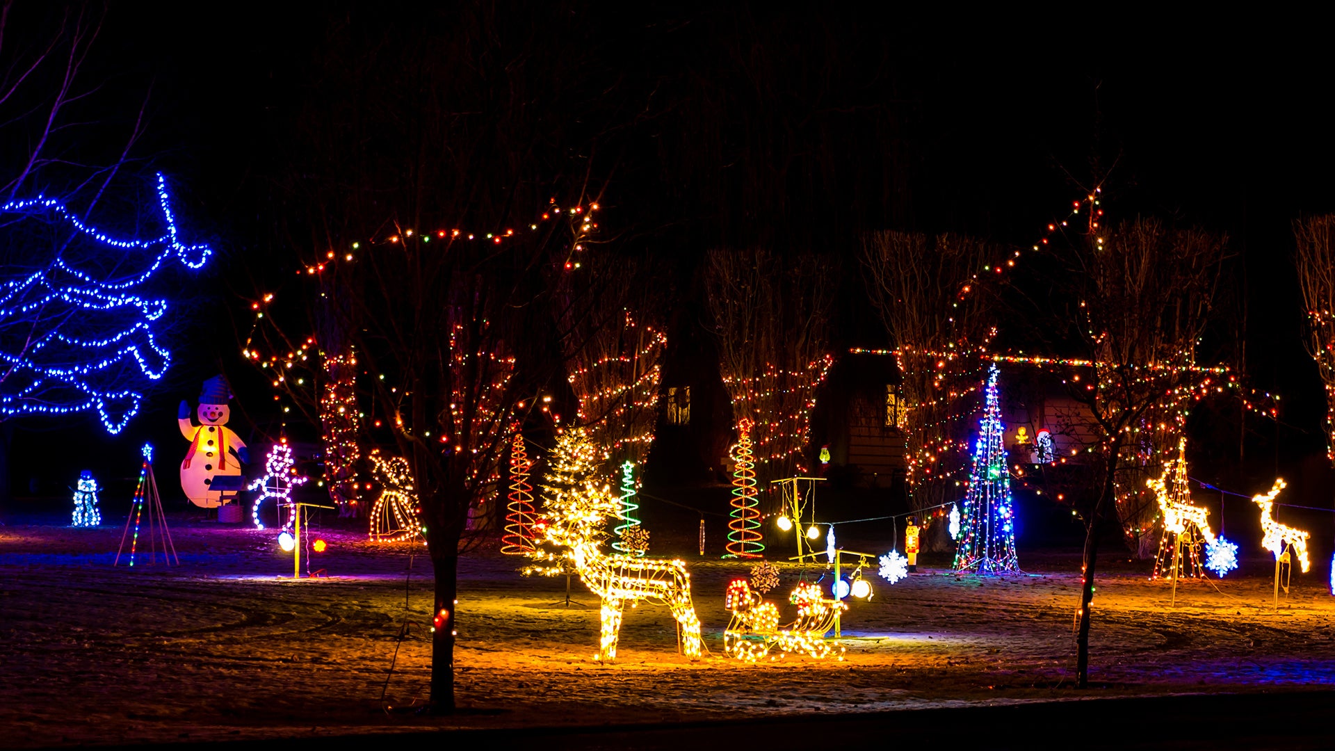 Christmas lights