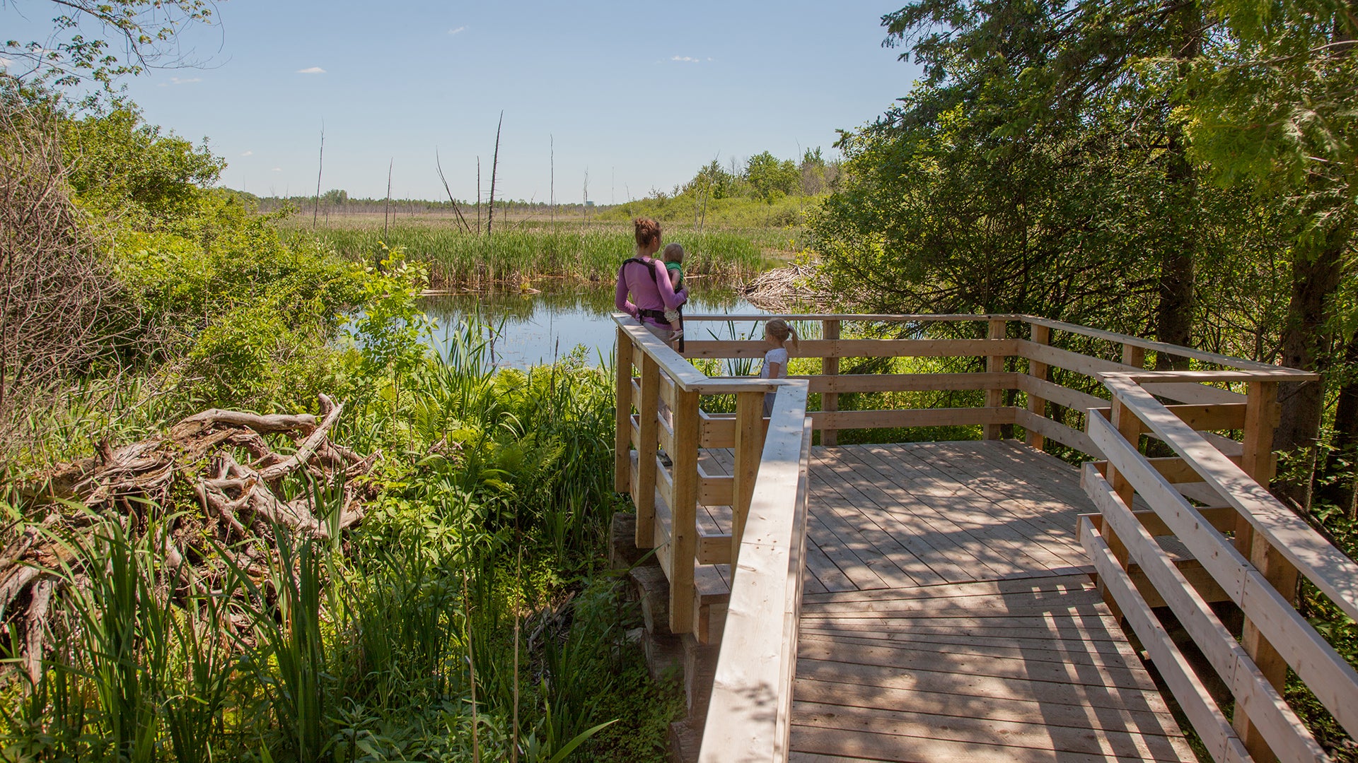 Canada's Capital Greenbelt
