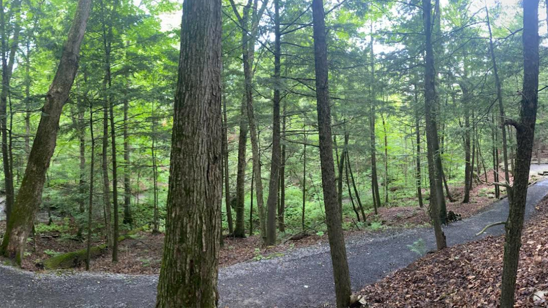 Humanics Sanctuary & Sculpture Park