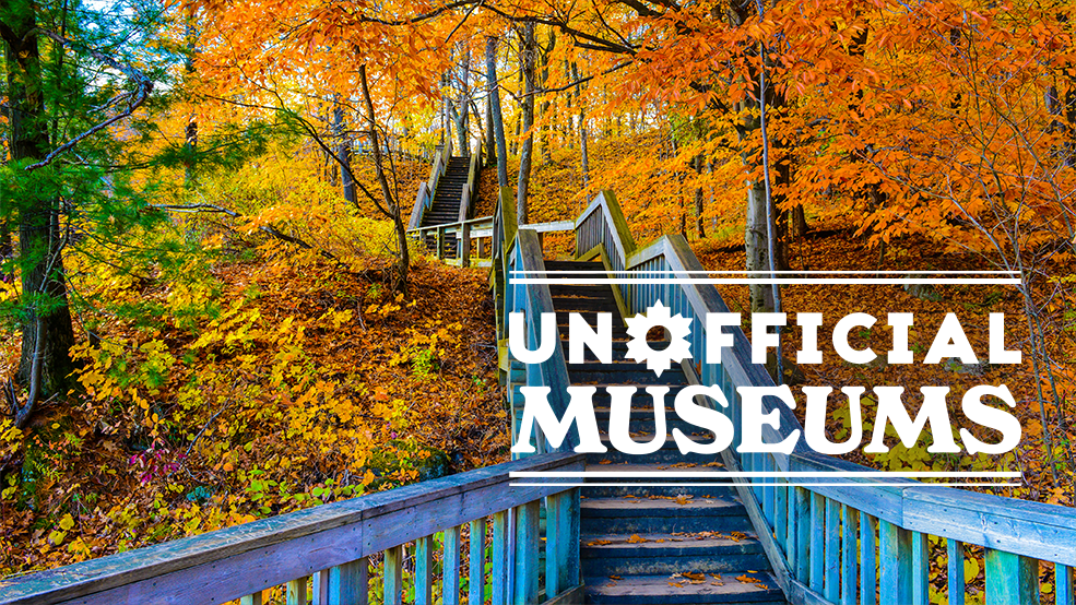 UM - Fall EN UM - Fall