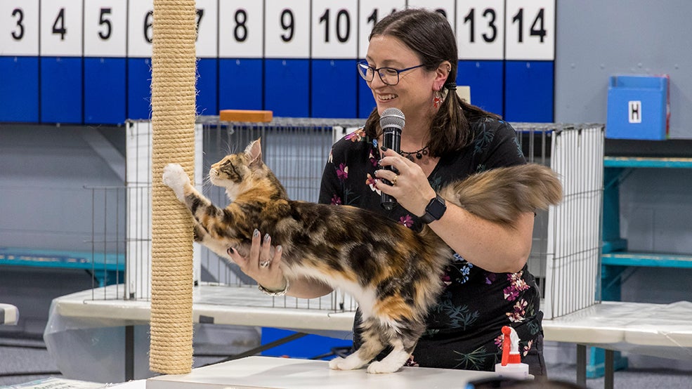 Ottawa Cat Show Ottawa Cat Show