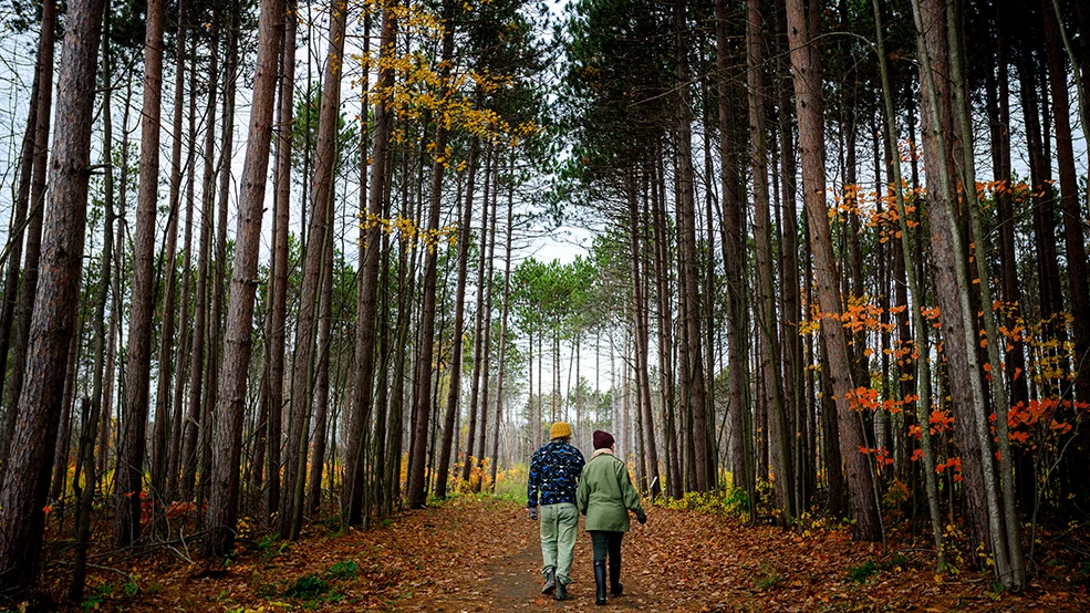 Pine Grove Trail, Greenbelt