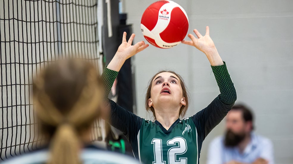 Men's Volleyball Nations League Ottawa Tourism