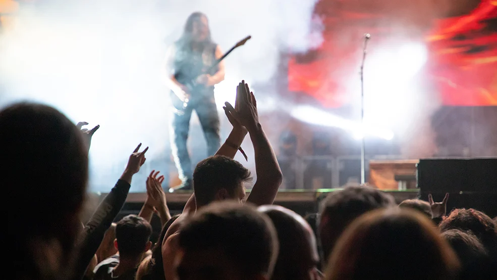 crowd at concert - summer music festival