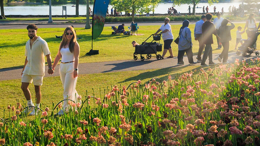 Canadian Tulip Festival at Commissioners Park