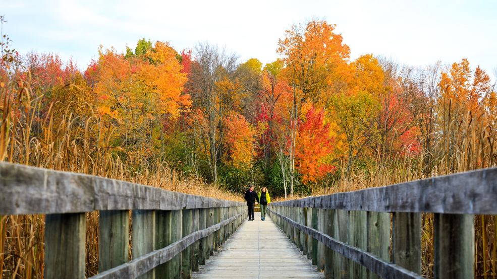 A couple walks on a boardwalk in front of a autumnal forest.