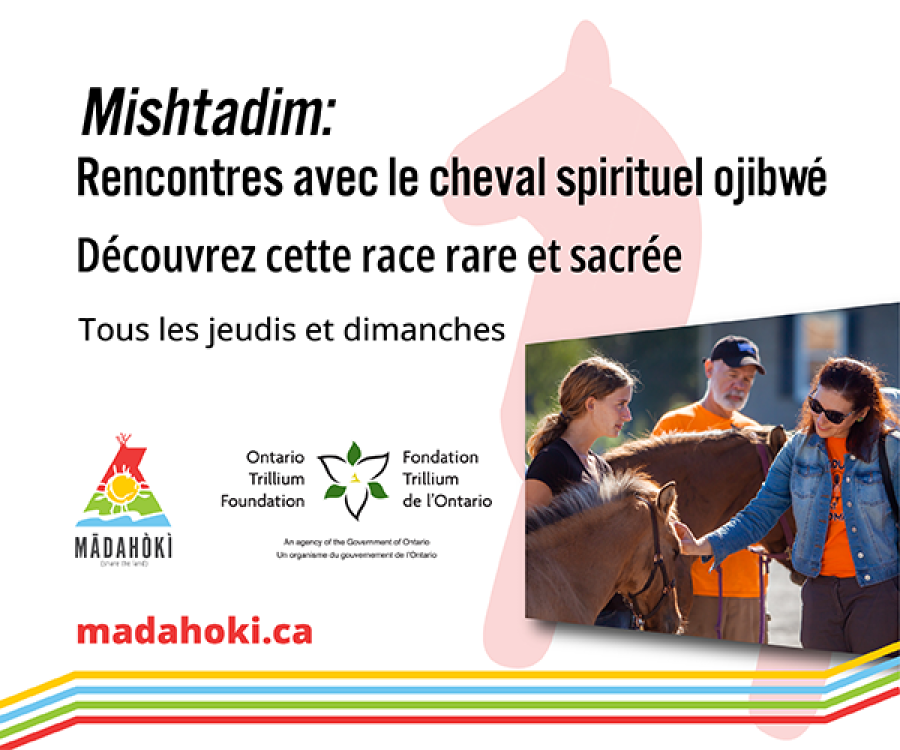 Mishtadim: Rencontres avec le cheval spirituel ojibwé Découvrez cette race rare et sacrée Tous les jeudis
