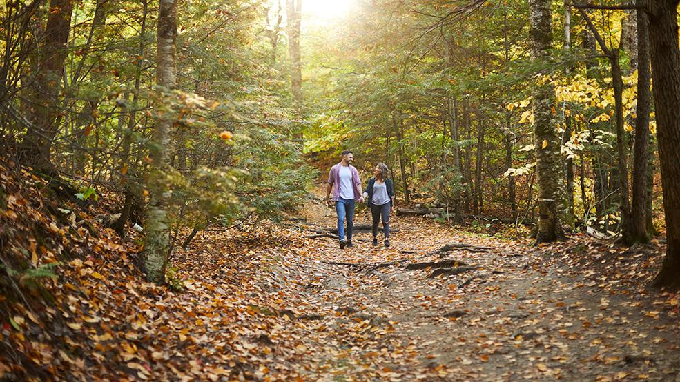 Gatineau Park, hiking, fall