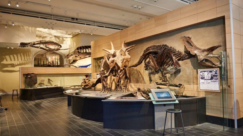 Canadian Museum of Nature