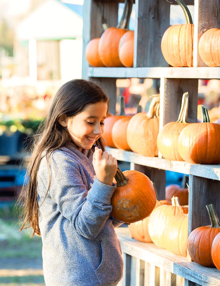 pumpkin, family, fall