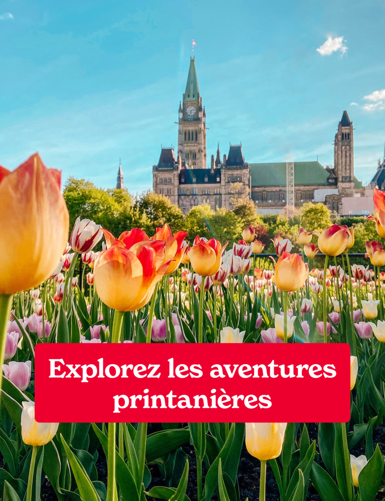Explorez les aventures printanières
