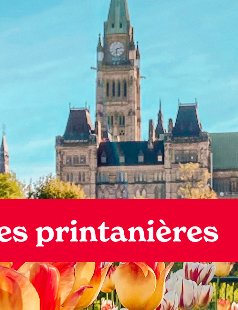 Explorez les aventures printanières