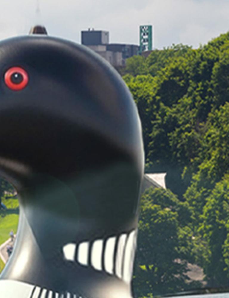 World’s Largest Inflatable Loon