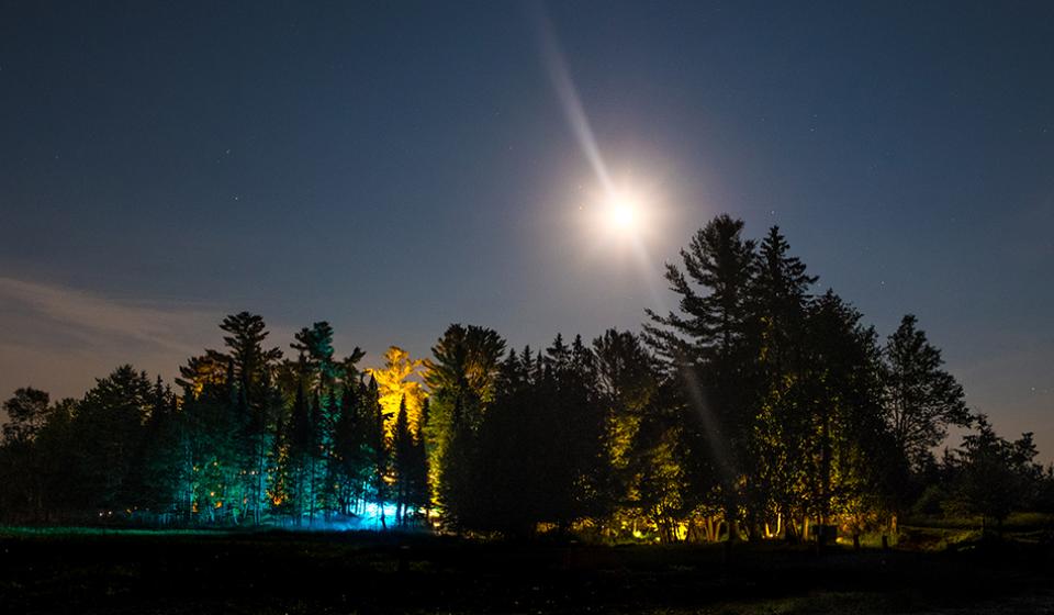 Parc Omega