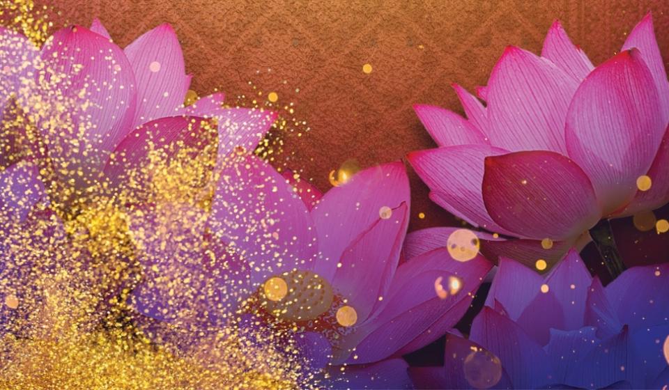 Desi Dhamaka - A Celebration of South Asian Arts & Culture