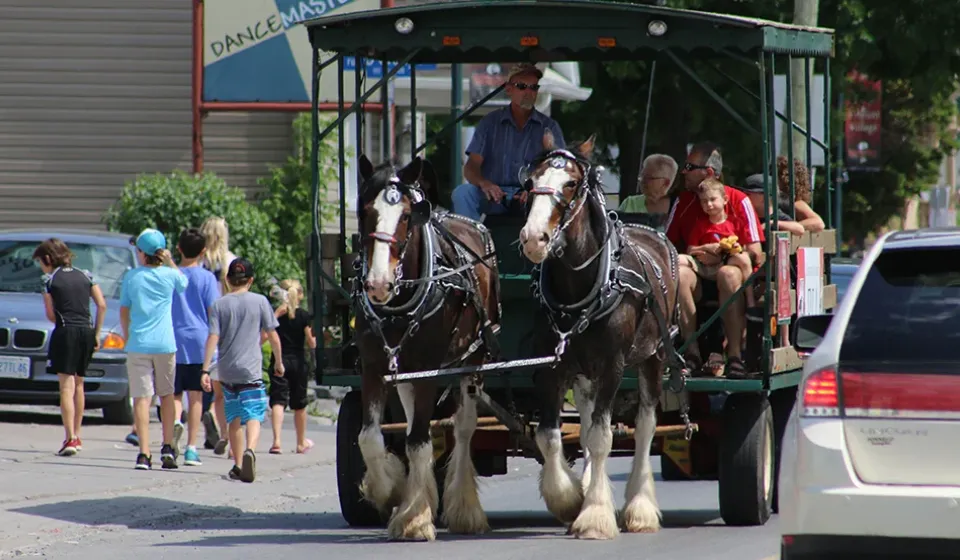 Dickinson Days Festival