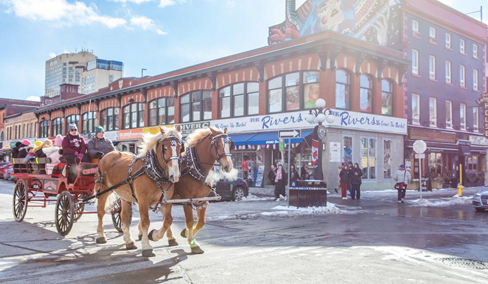 Horse Drawn Carriage Rides by Cundell Stables