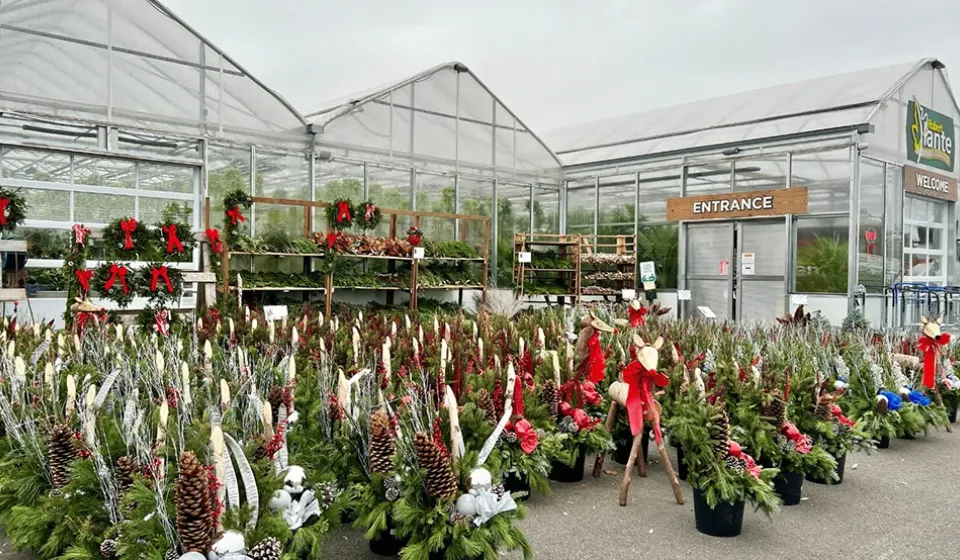 Robert Plante Holiday Market