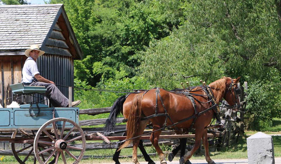 Horse Lovers’ Weekend