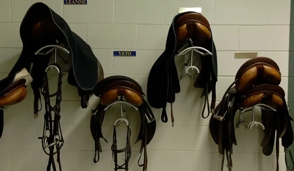 RCMP Musical Ride Stables Open House