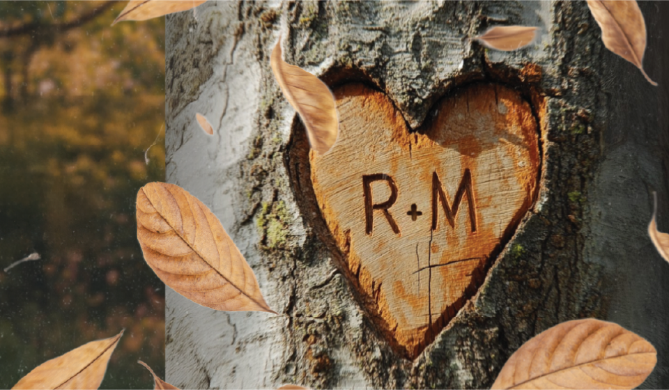 The Heart of Robinhood by David Farr