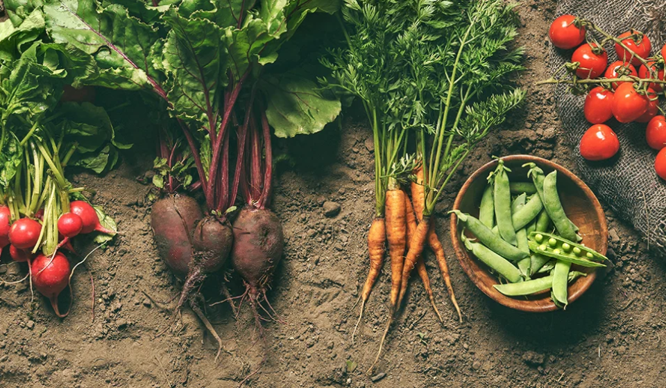 vegetables