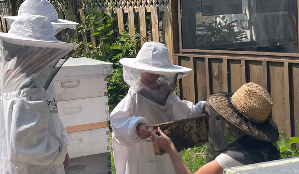 See the Bees