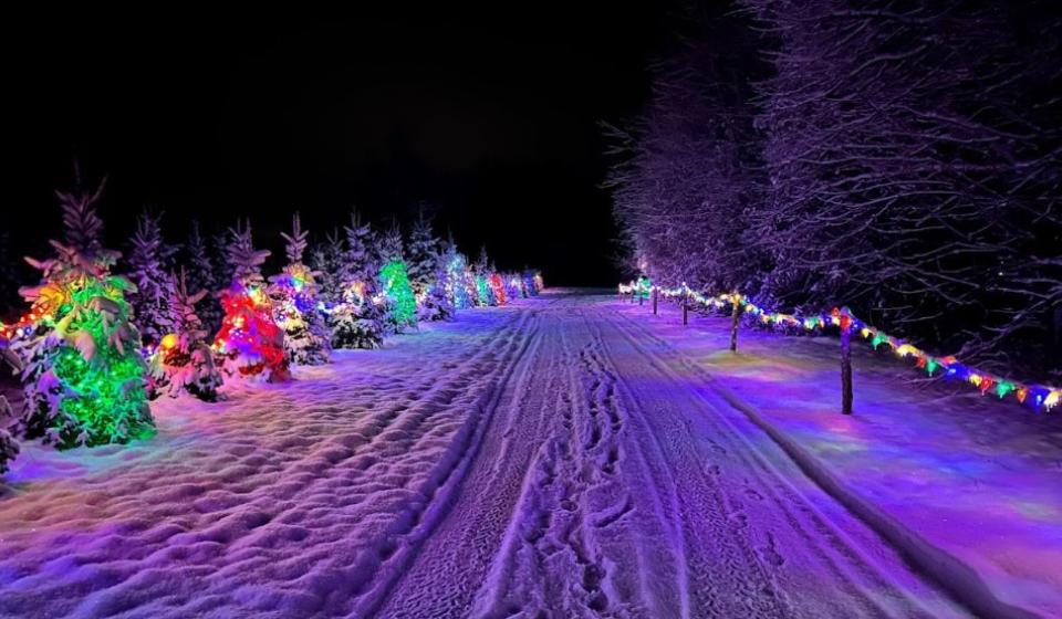 Stanley’s Holiday Stroll