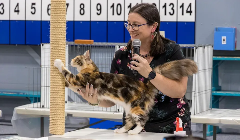 Ottawa Cat Show