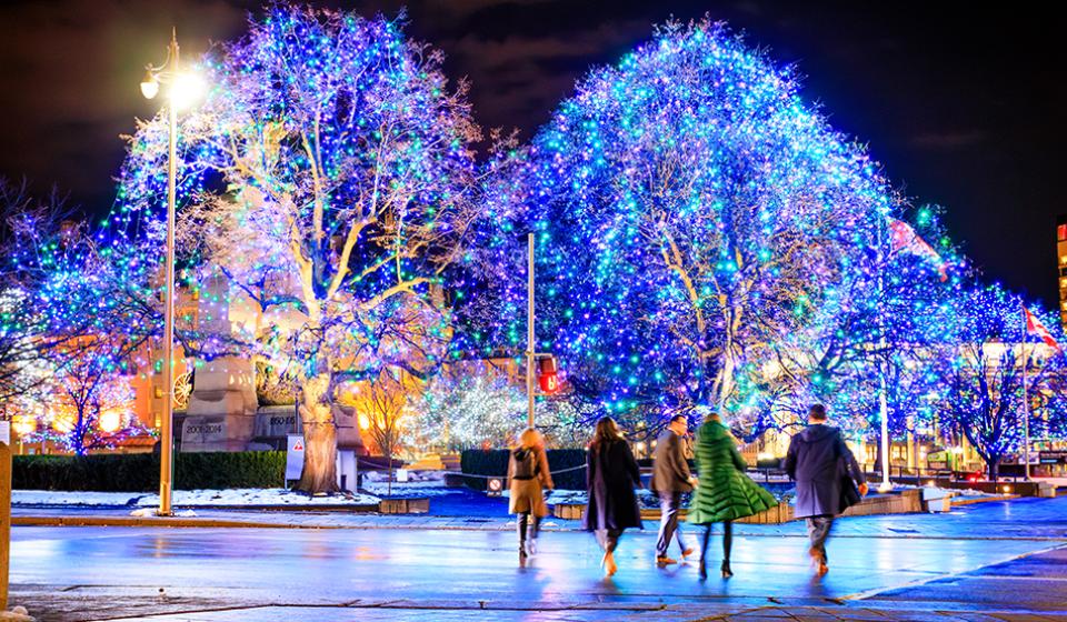 Winter Lights of Canada at the War Memorial on Elgin Street.